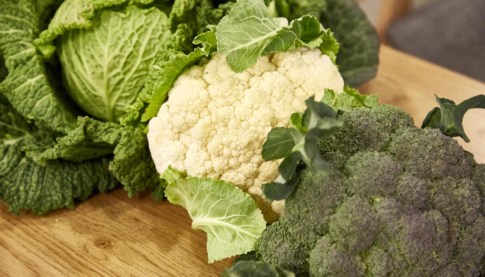 Verduras de invierno